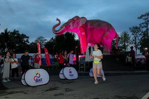 BIB: 
                            <button type="button" onclick="openModal(26529742)" class="btn btn-primary btn-sm float-right btn-popup" data-toggle="modal" data-target=".modal-high-quality">
                        <i class="fas fa-shopping-cart"></i> Add to Cart
                    </button>
                                            <button type="button" onclick="isThisMe(26529742, true)" class="btn btn-success btn-sm float-right btn-popup btn-isme hidden" data-toggle="tooltip" data-placement="bottom" title="นี่คือรูปของคุณใช่ไหม คลิกที่นี่เพื่อเอาเข้าอัลบั้ม">
                        <i class="fas fa-plus"></i> Add to album
                    </button>
                    <button type="button" onclick="isThisMe(26529742, false)" class="btn btn-warning btn-sm float-right btn-popup btn-isnotme hidden">
                        <i class="fas fa-ban"></i> Remove from album
                    </button>